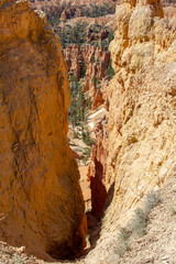 Bryce canyon
