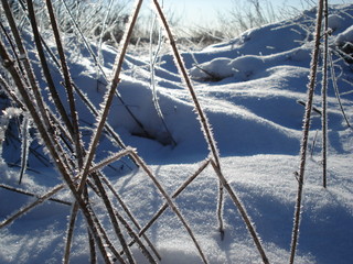 Schneebedecktes Flussufer als winterliches Idyll und Winterlandschaft lädt zum Winterspaziergang ein und zeigt Spuren im Schnee und Raureif mit Schneekristallen