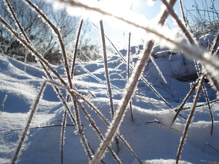 Schneebedecktes Flussufer als winterliches Idyll und Winterlandschaft lädt zum Winterspaziergang ein und zeigt Spuren im Schnee und Raureif mit Schneekristallen