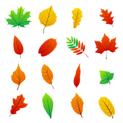 set of autumn leaves icons