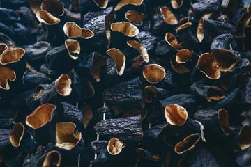 Dried eggplant seasoning dark purple background
