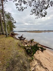 Fototapeta na wymiar Gauja river Latvia drain into Baltic Sea