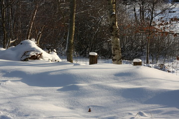 Winterliches Landschaftsidyll nach starkem Schneefall eingeschneit und gefroren für Winterspaß...