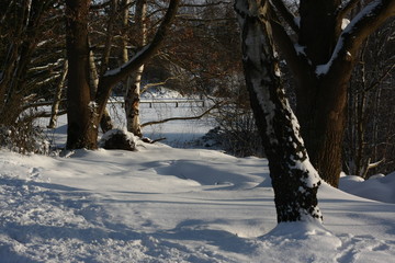 Winterliches Landschaftsidyll nach starkem Schneefall eingeschneit und gefroren für Winterspaß...