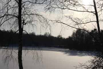 Winterliches Landschaftsidyll nach starkem Schneefall eingeschneit und gefroren für Winterspaß...