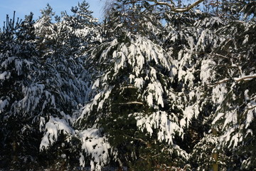 Winterliches Landschaftsidyll nach starkem Schneefall eingeschneit und gefroren für Winterspaß...