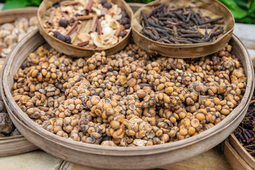 Tray of civet cat poo containing digested coffee beans. Once roasted, the coffee - known as Kopi Luwak - fetches very high prices