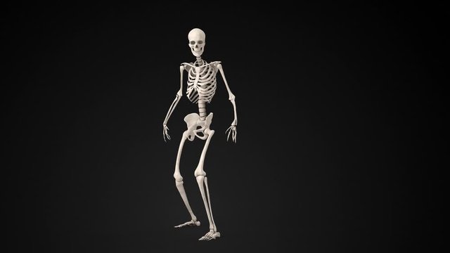 3d illustration of a frightened skeleton steps back against on black background