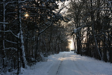 Winterliches Landschaftsidyll nach starkem Schneefall eingeschneit und gefroren für Winterspaß...