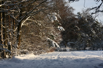Winterliches Landschaftsidyll nach starkem Schneefall eingeschneit und gefroren für Winterspaß...