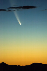 Comet McNaught on 19 January 2007 at sunset in Bloemfontein © dpreezg