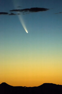 Comet McNaught on 19 January 2007 at sunset in Bloemfontein © dpreezg