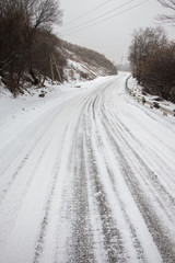Obraz premium snow covered road in the fog