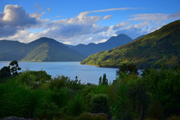 Naklejka na ściany i meble The Marlborough Sounds in the evening sun. New Zealand, South Island.