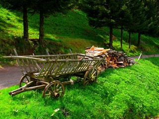 Trolley and pile of wood on the edge of a mountain path