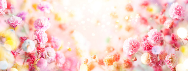 Spring floral composition made of fresh colorful flowers on light pastel background. Festive flower concept with copy space.