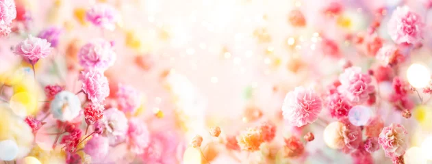 Foto op Plexiglas Lente bloemen compositie gemaakt van verse kleurrijke bloemen op lichte pastel achtergrond. Feestelijk bloemconcept met exemplaarruimte. © Svetlana Kolpakova