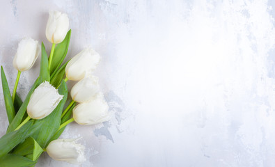 Naklejka na ściany i meble Beautiful white tulips flowers for holiday.