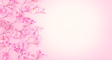 Spring floral composition made of fresh pink flowers on light pastel background