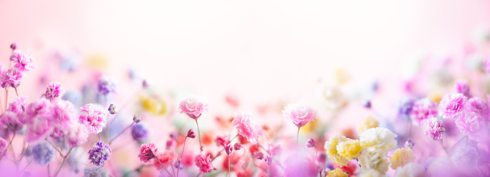Naklejka Wiosenna kompozycja kwiatowa wykonana ze świeżych kolorowych kwiatów na jasnym pastelowym tle. Świąteczny kwiat koncepcja z miejsca kopiowania.