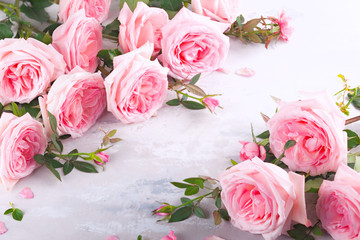 Beautiful pink roses flowers