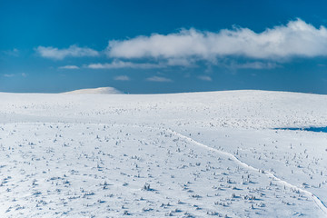 Krkonose plains on a sunny winter day, Krkonose mountains, Czech republic