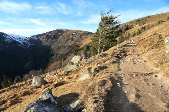 Paysage de la vall&eacute;e de Munster et le massif du Hohneck