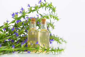 hyssop essential oil in  beautiful bottle on White background
