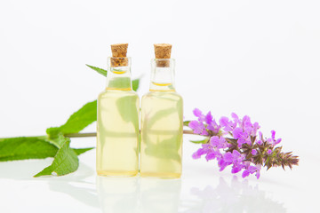 marsh woundwort essential oil in  beautiful bottle on White background