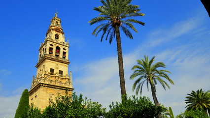 Fototapeta na wymiar Turm der Mezquita in Cordoba neben hohen Palmen