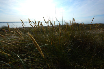 impressions from Fehmarn, Germany