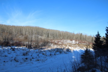 Winters Backcountry, Whitemud Park, Edmonton, Alberta