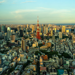 Tokyo Tower among the skyscrapers at sunset. Tokyo Tower is the most famous landmark of the city