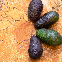 Avocado fruit. Group of avocados on a wooden background. Square photo with copy space