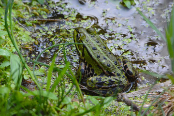 impressions from Fehmarn, Germany