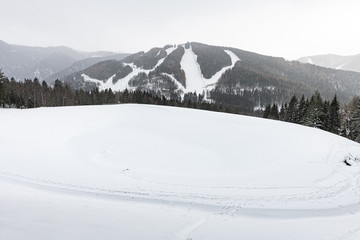 Fototapeta na wymiar Winterliches Panorama in den Alpen