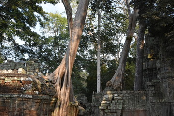 Angkor