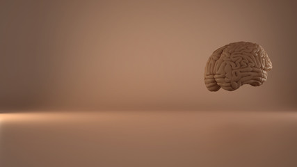 Human floating brain on rosy background, human intelligence concept, anatomical accurate model. Copy space