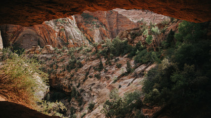 Explorer et randonner à Zion National Park