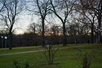 Green spring park with paths and bike paths. Infrastructure. Place for rest and entertainment. Nature. Background.
