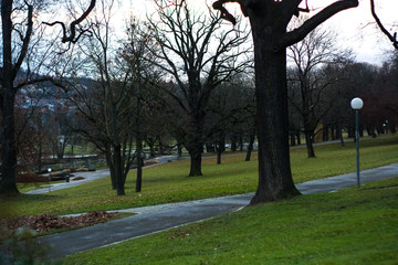 Green spring park with paths and bike paths. Infrastructure. Place for rest and entertainment. Nature. Background.