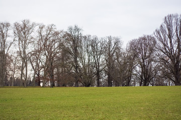 Green spring park with paths and bike paths. Infrastructure. Place for rest and entertainment. Nature. Background.