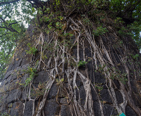 Landscapes of Mahabaleshwar hill Station
