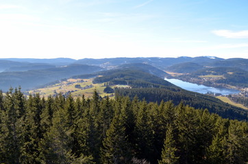 Blick vom Hichfirst auf den Titisee