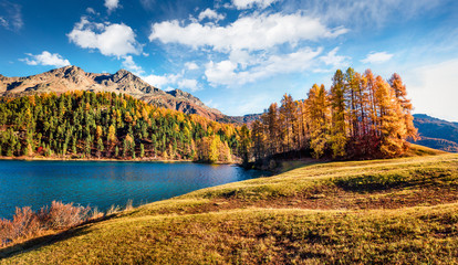 Spectacular autumn scene of Sils Lake / Silsersee. Sunny morning view of Swiss Alps, Maloja Region, Upper Engadine, Switzerpand, Europe. Beauty of nature concept background.
