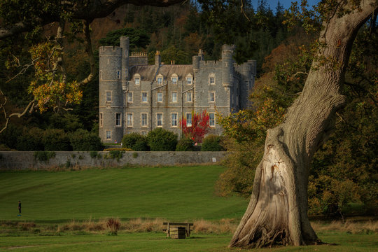 castlewellan park castle sunny autumn 