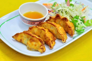 The fried Gyoza with pork meat and vegetables on a plate