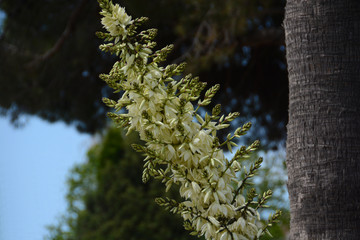 impressions from Nice, France