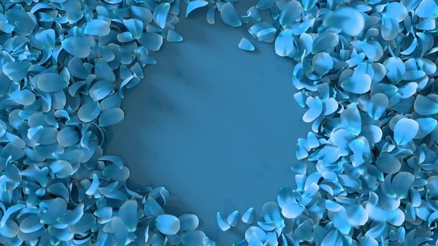 Realistic 3D animation of light blue petals explosing to create circle copy space background. Floral Valentine's Day or wedding backdrop. 4k reactive fresh concept.