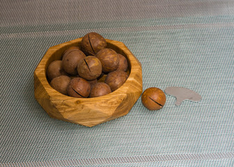 macadamia nut